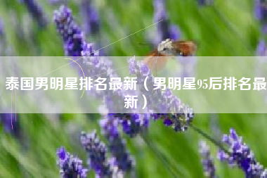 泰国男明星排名最新（男明星95后排名最新）