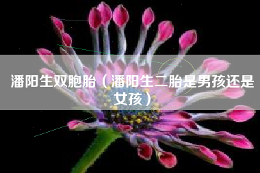 潘阳生双胞胎（潘阳生二胎是男孩还是女孩）