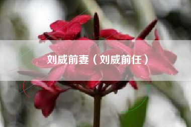 刘威前妻（刘威前任）