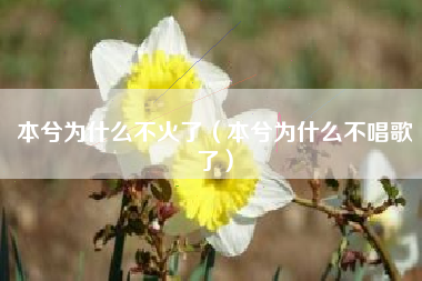 本兮为什么不火了（本兮为什么不唱歌了）