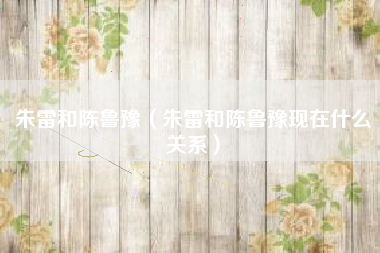 朱雷和陈鲁豫（朱雷和陈鲁豫现在什么关系）