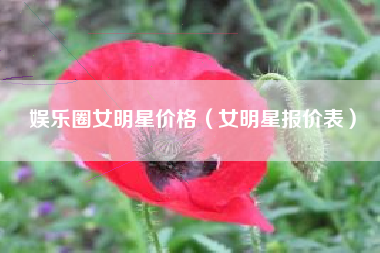 娱乐圈女明星价格（女明星报价表）