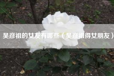 吴彦祖的女友有哪些（吴彦祖得女朋友）