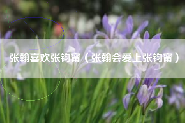 张翰喜欢张钧甯（张翰会爱上张钧甯）