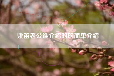 姚笛老公谁介绍的的简单介绍