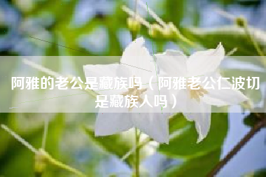 阿雅的老公是藏族吗（阿雅老公仁波切是藏族人吗）