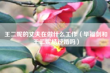 王二妮的丈夫在做什么工作（毕福剑和王二妮结过婚吗）