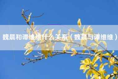 魏晨和谭维维什么关系（魏晨与谭维维）