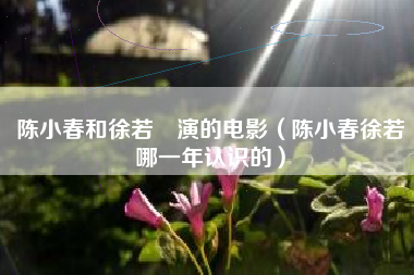 陈小春和徐若瑄演的电影（陈小春徐若瑄哪一年认识的）