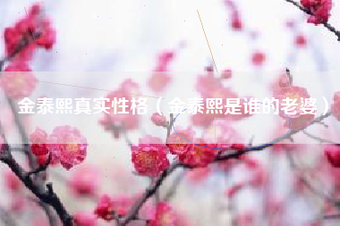 金泰熙真实性格（金泰熙是谁的老婆）