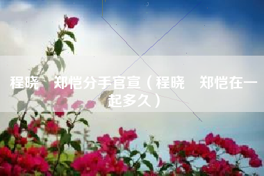 程晓玥郑恺分手官宣（程晓玥郑恺在一起多久）