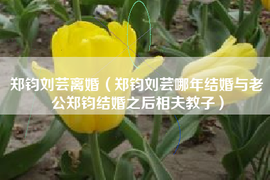 郑钧刘芸离婚（郑钧刘芸哪年结婚与老公郑钧结婚之后相夫教子）