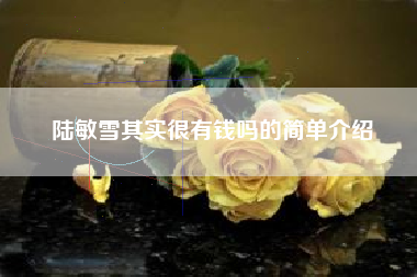 陆敏雪其实很有钱吗的简单介绍
