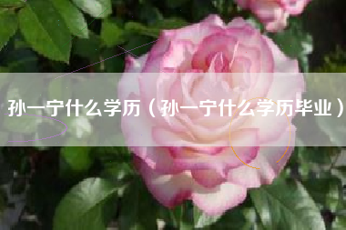 孙一宁什么学历（孙一宁什么学历毕业）