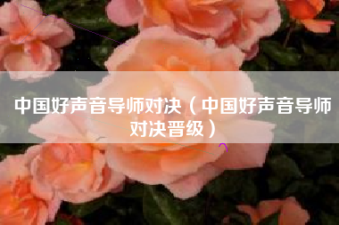 中国好声音导师对决（中国好声音导师对决晋级）