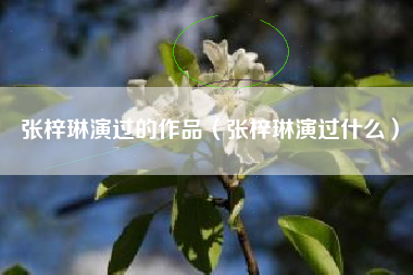 张梓琳演过的作品（张梓琳演过什么）