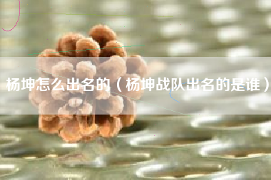 杨坤怎么出名的（杨坤战队出名的是谁）