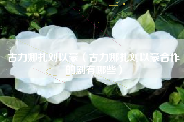 古力娜扎刘以豪（古力娜扎刘以豪合作的剧有哪些）