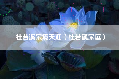 杜若溪家境天涯（杜若溪家庭）