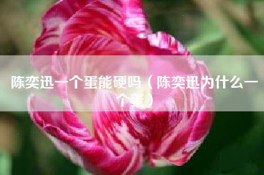 陈奕迅一个蛋能硬吗（陈奕迅为什么一个蛋）