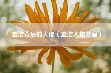 董洁背后的大佬（董洁大佬外室）