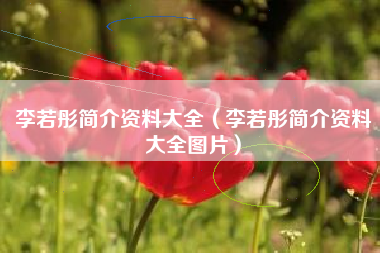 李若彤简介资料大全（李若彤简介资料大全图片）