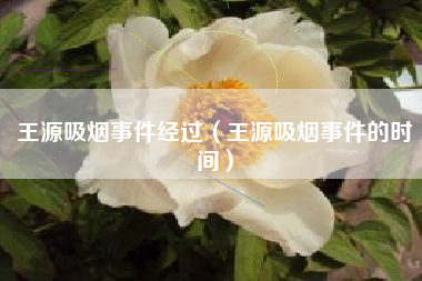 王源吸烟事件经过（王源吸烟事件的时间）