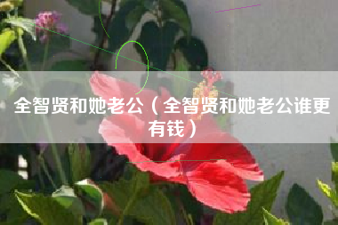 全智贤和她老公（全智贤和她老公谁更有钱）