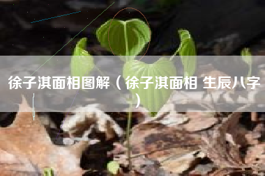 徐子淇面相图解（徐子淇面相 生辰八字）