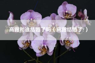 高露和谁结婚了吗（高露结婚了?）