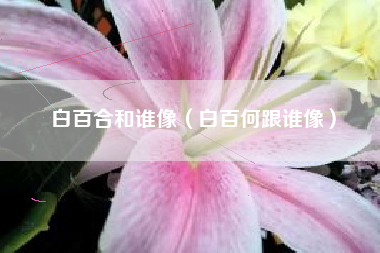 白百合和谁像（白百何跟谁像）