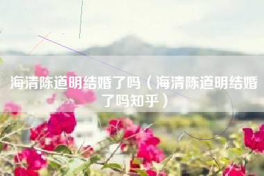 海清陈道明结婚了吗（海清陈道明结婚了吗知乎）