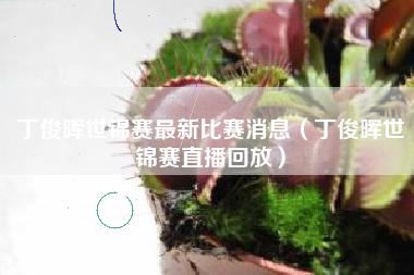 丁俊晖世锦赛最新比赛消息（丁俊晖世锦赛直播回放）