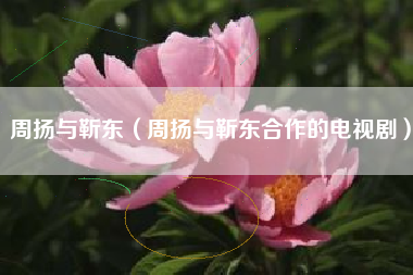 周扬与靳东（周扬与靳东合作的电视剧）