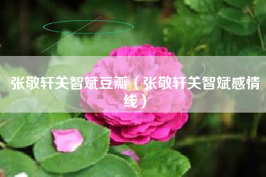 张敬轩关智斌豆瓣（张敬轩关智斌感情线）
