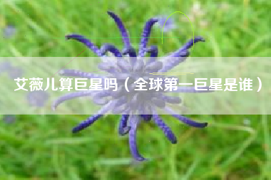 艾薇儿算巨星吗（全球第一巨星是谁）