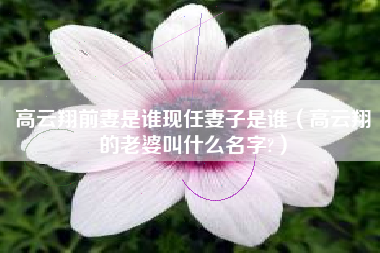 高云翔前妻是谁现任妻子是谁（高云翔的老婆叫什么名字?）