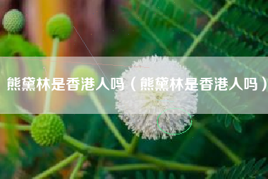 熊黛林是香港人吗（熊黛林是香港人吗）