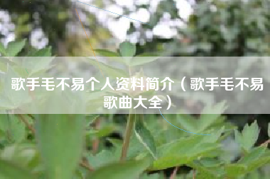 歌手毛不易个人资料简介（歌手毛不易歌曲大全）