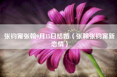 张钧甯张翰9月15日结婚（张翰张钧甯新恋情）