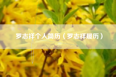 罗志祥个人简历（罗志祥履历）