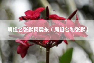 房祖名张默柯震东（房祖名和张默）