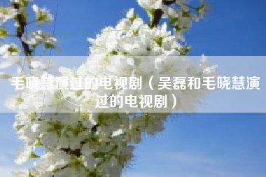毛晓慧演过的电视剧（吴磊和毛晓慧演过的电视剧）