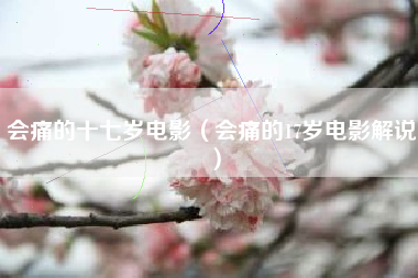 会痛的十七岁电影（会痛的17岁电影解说）