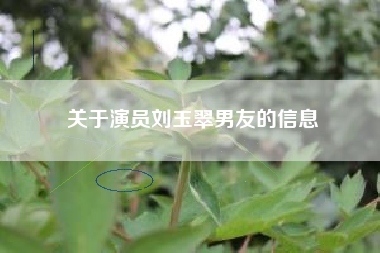 关于演员刘玉翠男友的信息