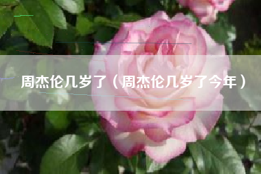 周杰伦几岁了（周杰伦几岁了今年）