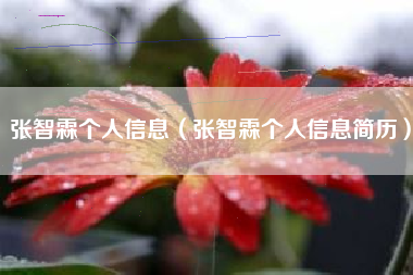 张智霖个人信息（张智霖个人信息简历）