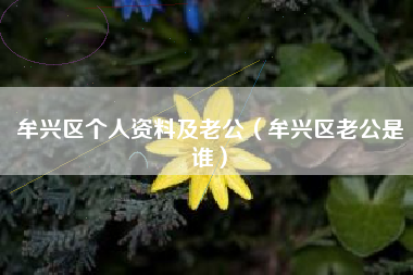 牟兴区个人资料及老公（牟兴区老公是谁）
