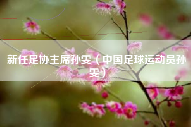 新任足协主席孙雯（中国足球运动员孙雯）