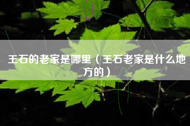王石的老家是哪里（王石老家是什么地方的）